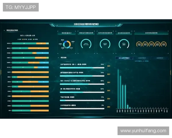 体育解说中的数据可视化工具谈